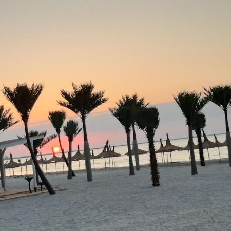 Zev- Cataleya Mamaia Nord Lägenhet Năvodari Exteriör bild